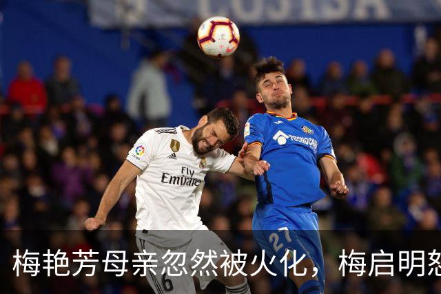 梅艳芳母亲忽然被火化，梅启明怒轰侄子：不是人、没良心！